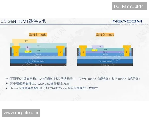 老虎竞技与萨斯菲尔德对决结果揭晓精彩瞬间回顾与分析