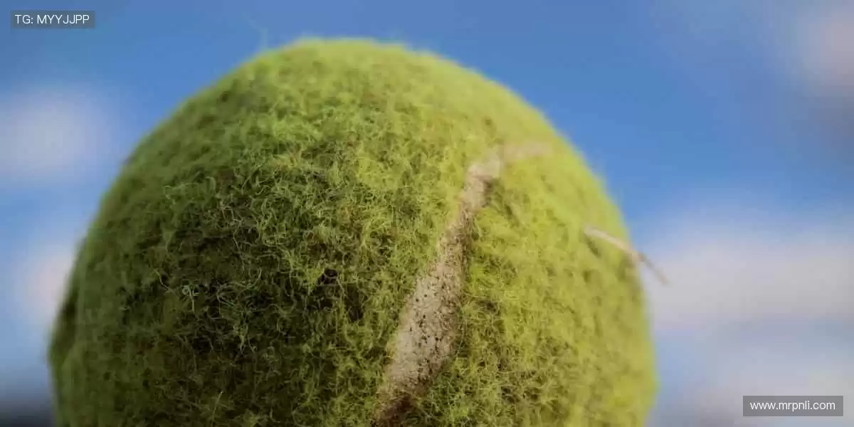 专业解说全程相伴，观赛体验升级不止🌟